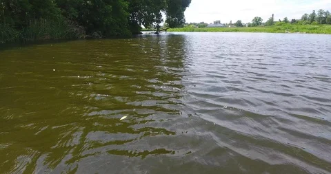 Flight over the river, low over the water Stock Footage 90076146