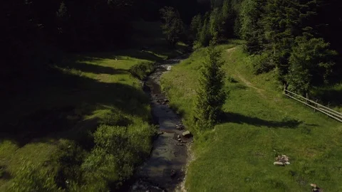 Flight over the river in lush summer forest drone footage Stock Footage 121130608