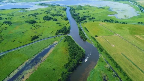 Flight over river in meadows Stock Footage 88542302