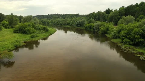 Flight over the river in the middle of green forest. Shallow area. Aerial motion Stock Footage 140193766