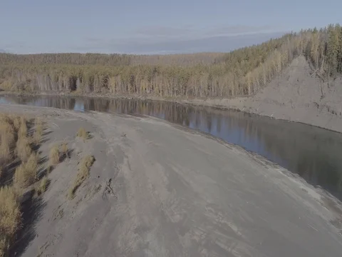 Flight over the river. not edition Video stock 81804640