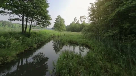 Flight over a river or stream. POV filmed with FPV drone. Stock Footage 201266159