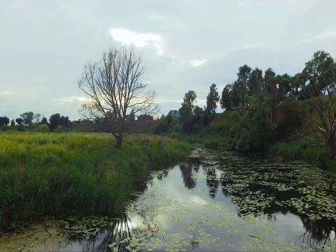 Flight over the river, Overcast, Summer, Russia Stock Footage 73515676