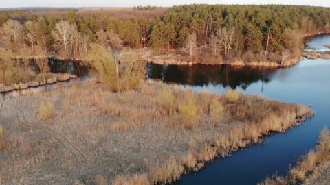 Flight over the River with a Reed Stock Footage 278099469