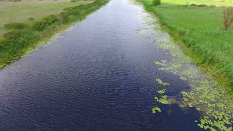 Flight over the river with reeds. summer day. wild marsh area Stock Footage 83260461