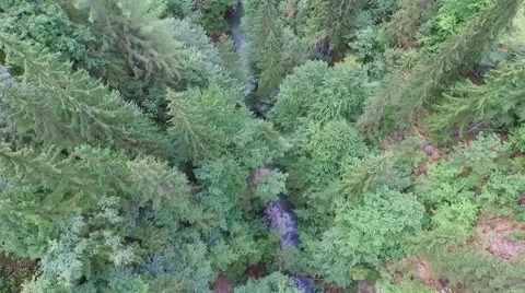 Flight over a river valley in the alps Stock Footage 58019452