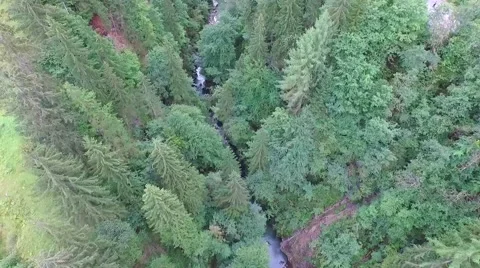 Flight over a river valley in the alps 動画素材 58020210