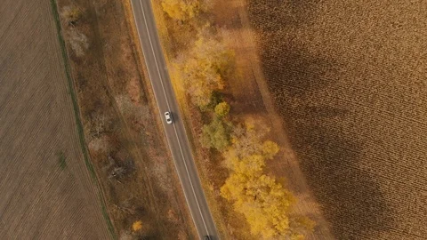 Flight Over the Road and Field, Orange and Yellow Foliage Stock Footage 97842403