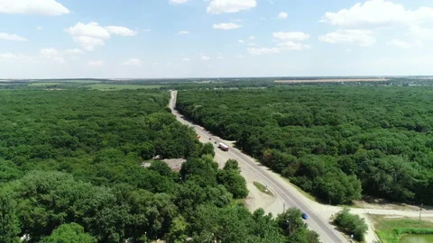 Flight over the road and forest in the city Video stock 153010841