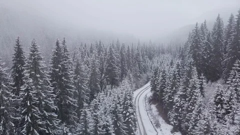 Flight over road and winter forest Stock Footage 129690882