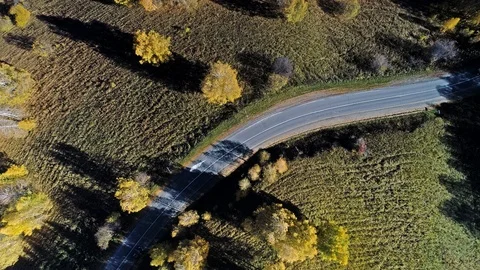Flight over the road between fields. Видео 122637851