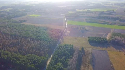 Flight over road in early spring forest in Poland, 4k aerial video Stock Footage 127795408
