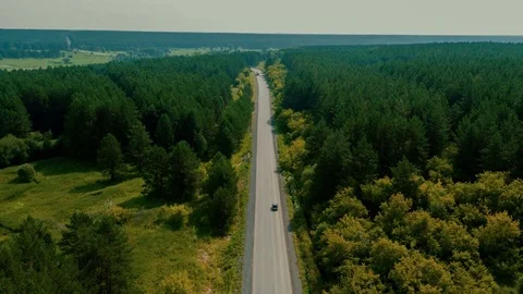 Flight over the road in the forest Stock Footage 79774503