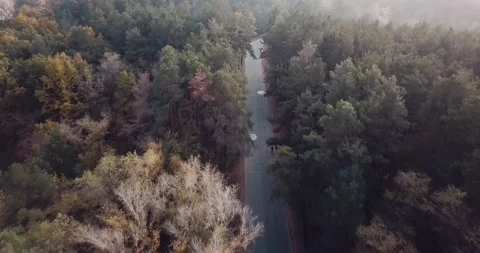 Flight over the road in the forest with a limit of 20 km with cars and cyclists Stock Footage 142226889