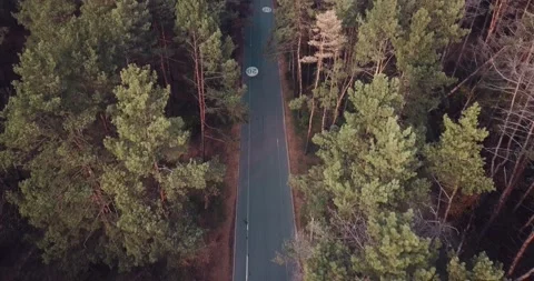 Flight over the road in the forest with a limit of 20 km with cars and cyclists Stock Footage 142304757