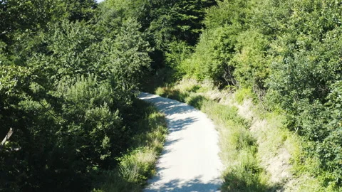 Flight over a road in a huge mountain realm surrounded by a thick forest Video stock 136830280