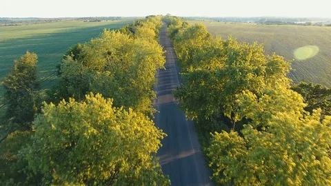 A flight over the road a motorcycle ride Video stock 80803253