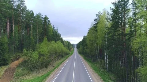 Flight over the road, over the forest in summer. Aerial View. Stock Footage 76054476