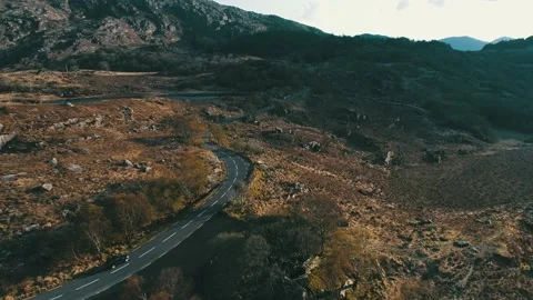 Flight over road through Killarney national park Stock-Footage 152639048