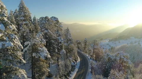 Flight over the road through the snowy forest at sunrise Stock Footage 102739944