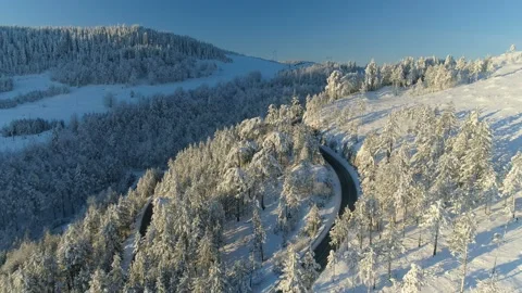 Flight over the road through the snowy forest at sunrise Stock Footage 102742899