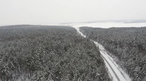 Flight over Road in Winter Forrest Stock Footage 59978431