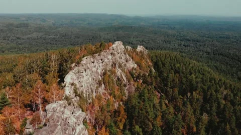 Flight over the rocks in the autumn forest. Drone flight from above. Red yellow Stockbeeldmateriaal 243259011