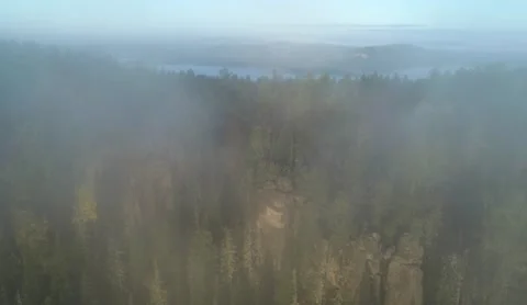 Flight over rocks covered with forest in fog early in morning Stock Footage 218232319