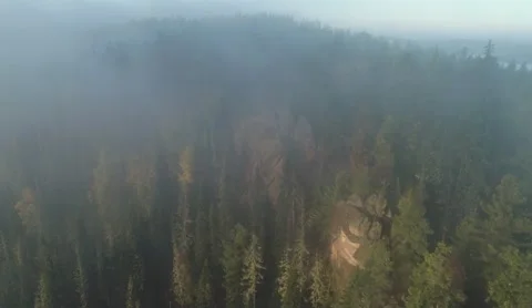 Flight over rocks covered with forest in fog early in morning Stock Footage 218232325