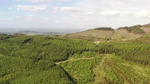 Flight Over Rolling Hills in Revensdale, County Louth, Ireland Stock Footage 314559912