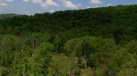 Flight over rolling tree-clad hills in rural Georgia Stock Footage 59542029