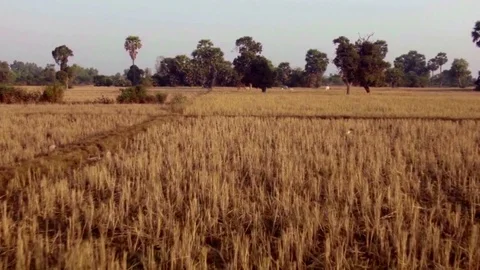 Flight Over Rural Cambodia Stock Footage 74192256