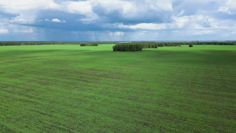 Flight over rural landscape with green agricultural fields and forest in Stock Footage 252131342