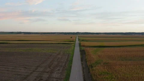 Flight over a rural road in the middle of a large field Vidéo 138314894