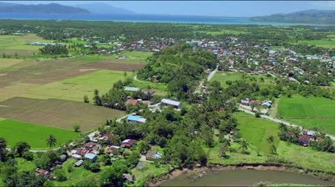 Flight over rural town surrounded by rice fields Video stock 25331558