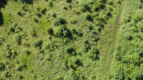 Flight over a rural valley surrounded by woods and mountains Stock Footage 136831625