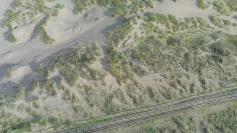 Flight over sand dunes with vegetation Stock Footage 142709633