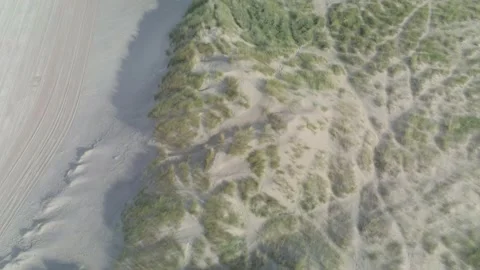 Flight over sand dunes with vegetation Stock Footage 142716392