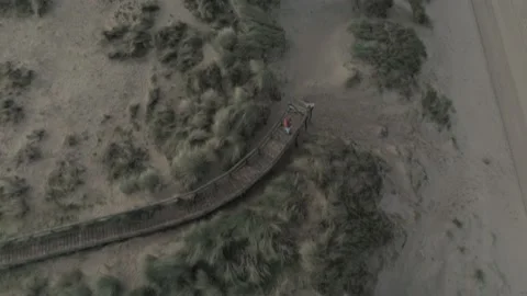 Flight over sand dunes with vegetation Stock Footage 142748937