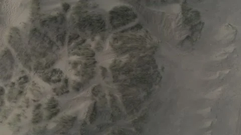 Flight over sand dunes with vegetation Stock Footage 142749050
