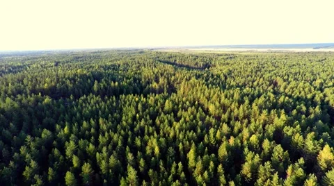 Flight over sand pit and lake. Nature landscape after mining. Aerial footage. Stock Footage