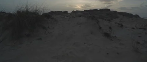 Flight over Sandhill Stock Footage 51834090