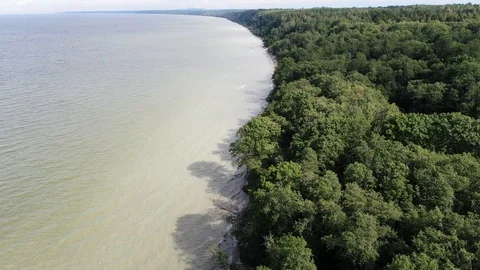 Flight over the sea and forest Stock Footage 115238151
