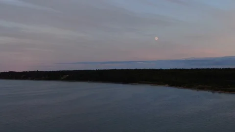 Flight over the sea and forest Stock Footage 115239029