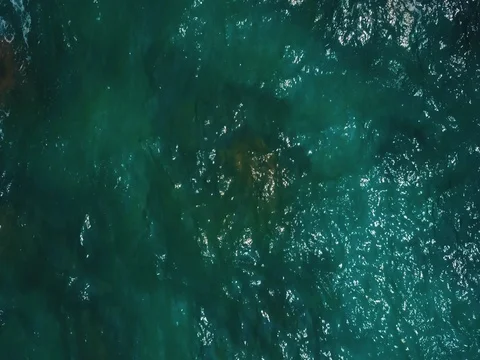Flight over the sea and rocks Stock Footage 77342745
