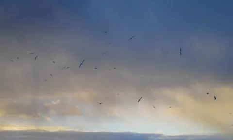Flight over the sea. Stock Photos