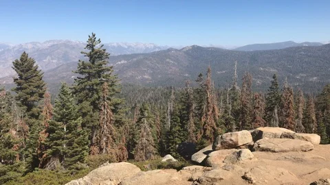 Flight over the Sequoia National Park. Sunrise. Sunset. Sequoia National Park Stock Footage 95840938