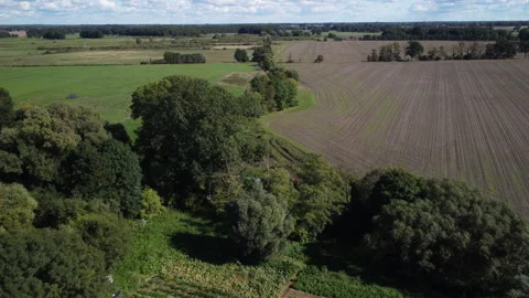 Flight over a small farm with fields and beds 스톡 동영상 220451750