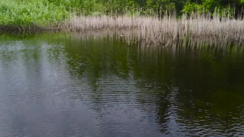 Flight over a small lake. The drone flies over a pond with dry water. Stock Footage 243354662
