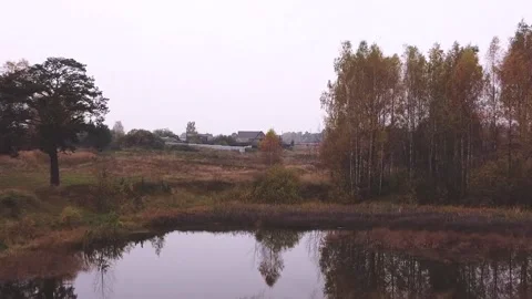 Flight over a small overgrown pond, around a field and a few trees Video stock 152831741
